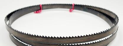 Carbon Flexback 10x0,65 mm TPI 8 Reg