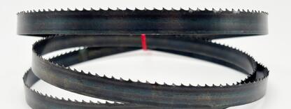Carbon Flexback 13x0,65 mm TPI 6 Skip